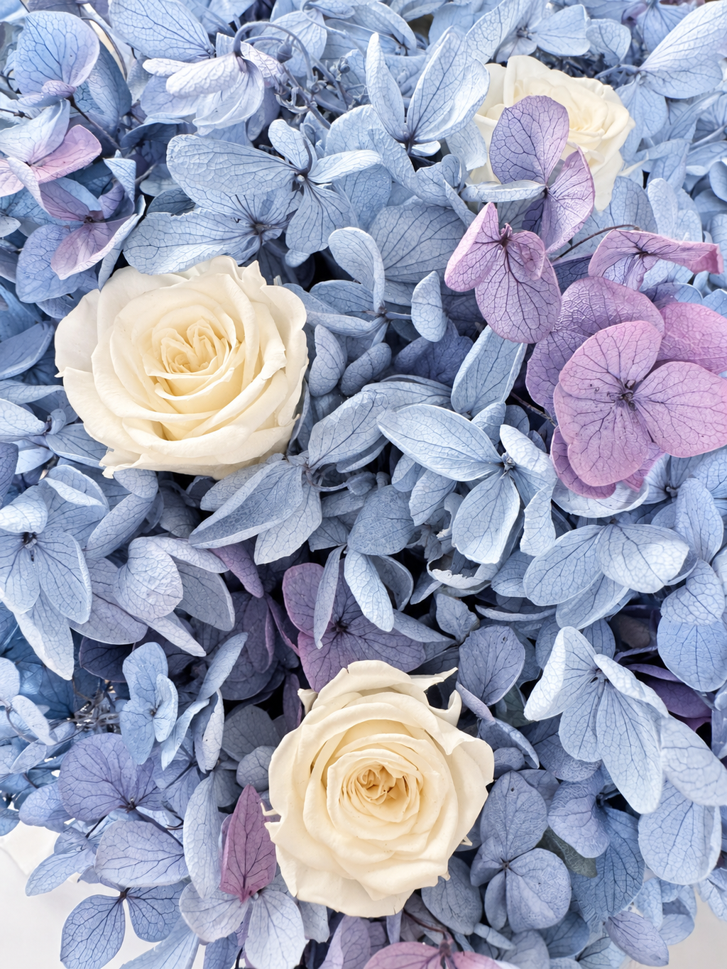 Macro dei petali di ortensie azzurro polvere e malva con rose avorio della composizione Brezza Marina.