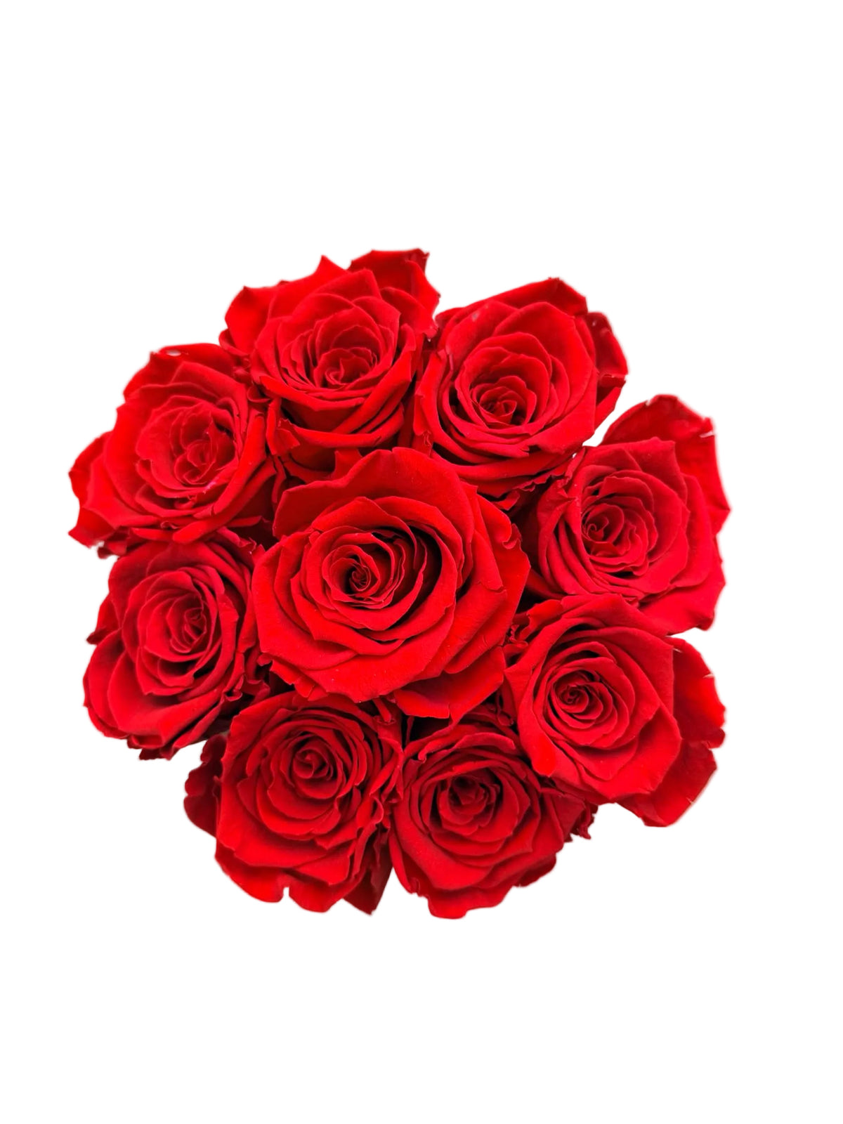 Rosso di Seta · 9 rose – rose rosse naturali stabilizzate in box nera