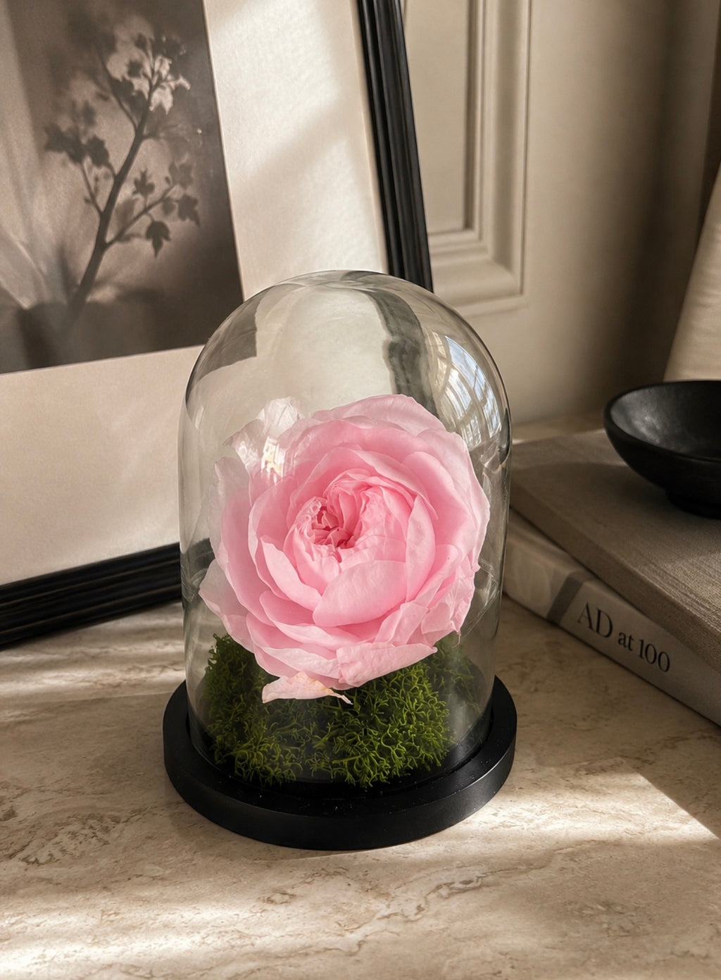 Blush Éternelle su una consolle accanto a una stampa incorniciata: rosa rosa stabilizzata sotto campana di vetro.