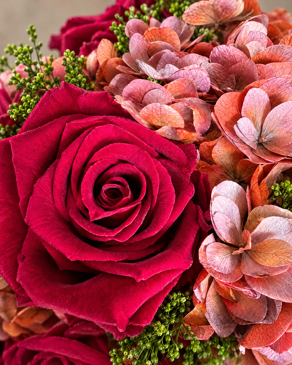 Dettaglio di Tramonto Antico: rosa fucsia cremisi stabilizzata tra ortensie dai toni vintage.