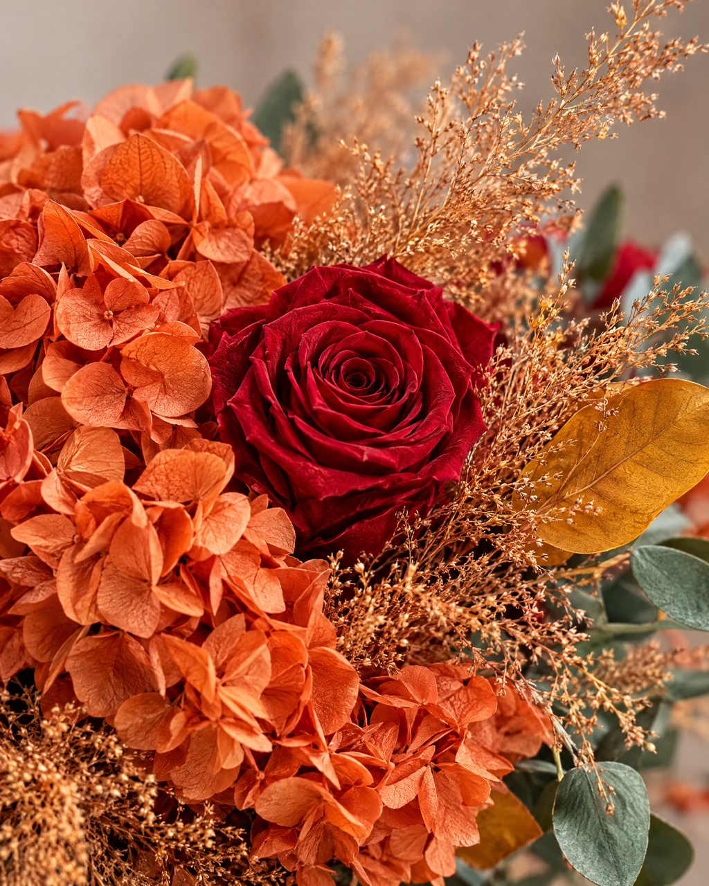 Dettaglio di Velluto d'Autunno: rosa rosso cremisi stabilizzata tra ortensie arancio e spighe ramate.