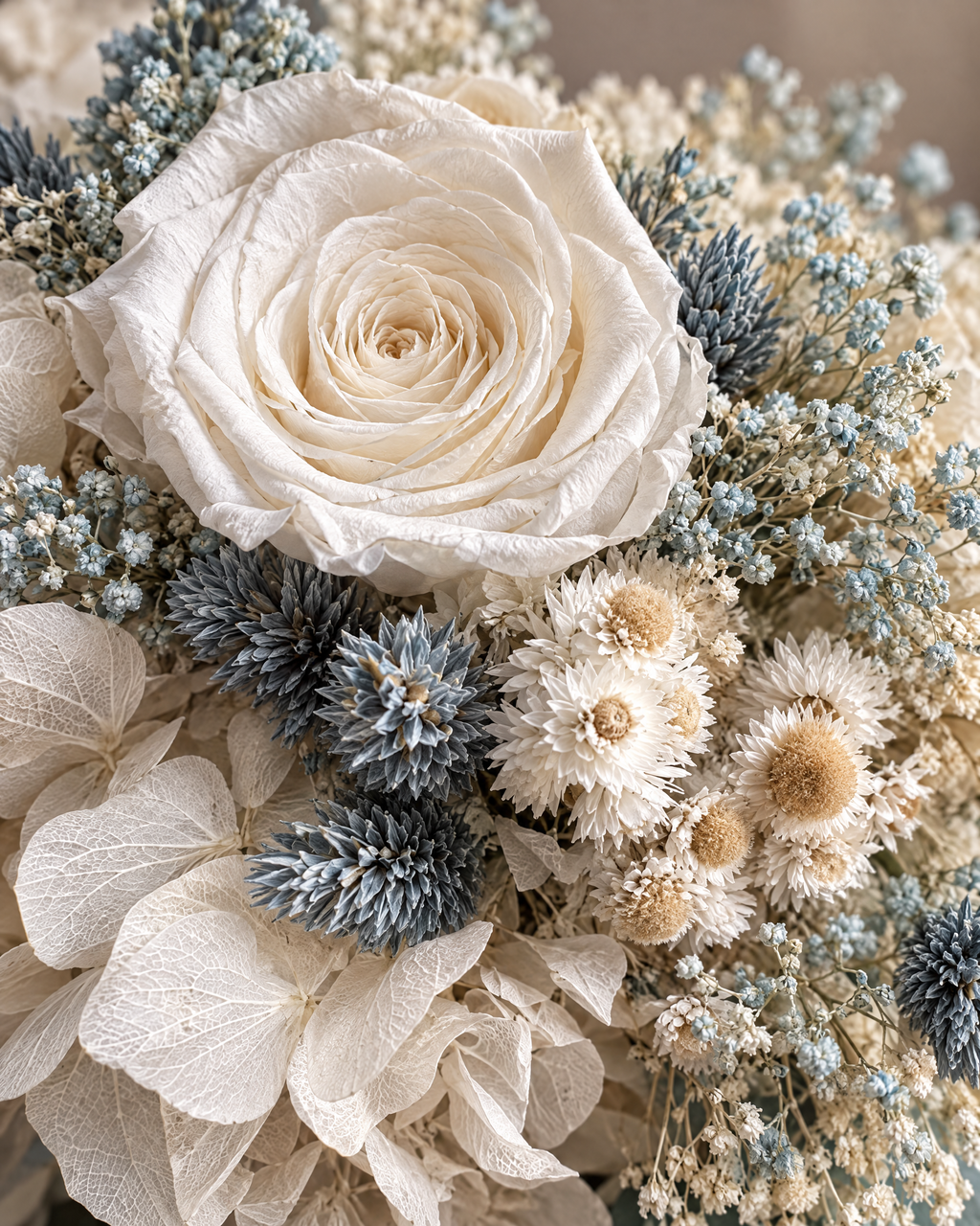 Dettaglio di Velo Celeste: rosa avorio stabilizzata, cardi blu fumo, elicrisi crema e gypsophila azzurra.