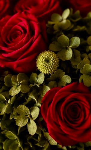 Dettaglio di Rosso Bosco: rose rosse, ortensie verde oliva e piccoli fiori verdi stabilizzati.