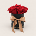 Rosso di Seta: nove rose rosse stabilizzate in scatola cilindrica nera con fiocco satinato champagne, su fondo avorio.